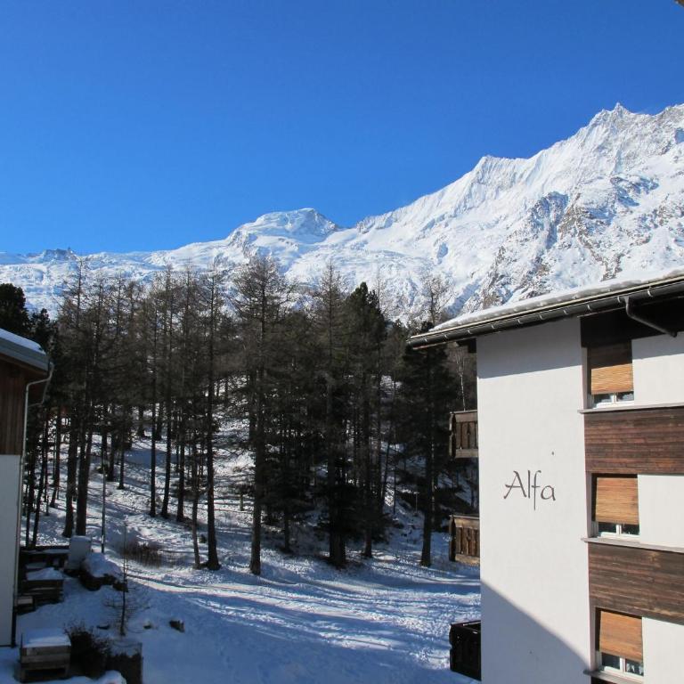 Appartementhaus Venetz SAAS110 ruhige Lage direkt an SKIBUSHALTESTELLE - Apartment - 29