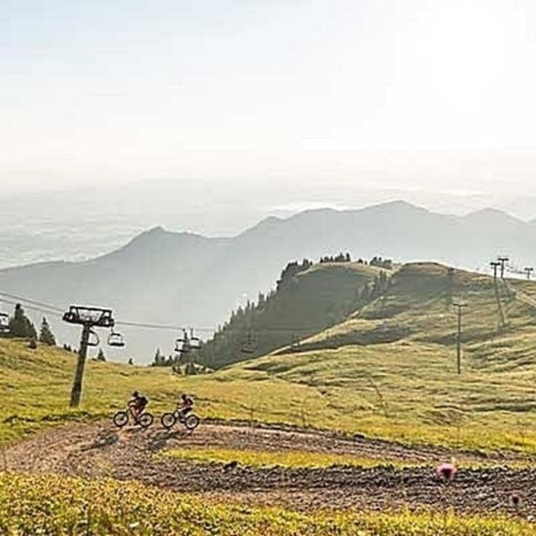 Ferienwohnung Seeblick , Hof Alpenseeblick, NesselwangAttleseeAllgäu - Apartment - 9