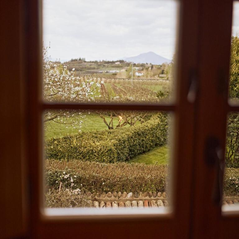 Corte dei Mori - Historic Apartments Lazise - Casa con 2 Camere da Letto - 20