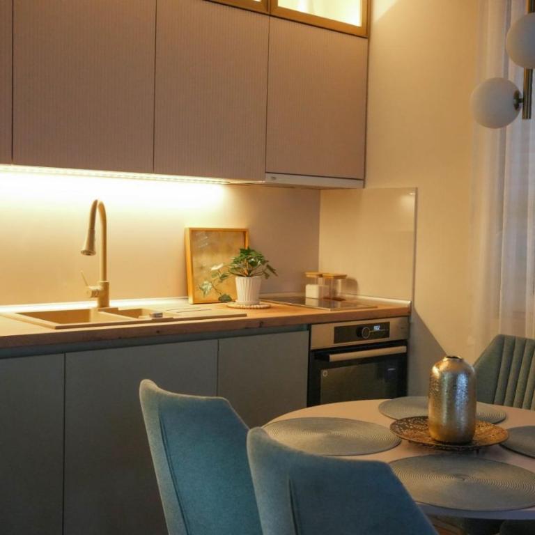 Panorama Elegance Vrnjačka Banja - Apartment mit 1 Schlafzimmer - 11