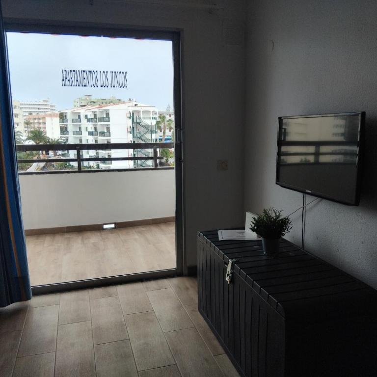 Apartamentos Los Juncos - Apartamento de 1 dormitorio con vistas - 4