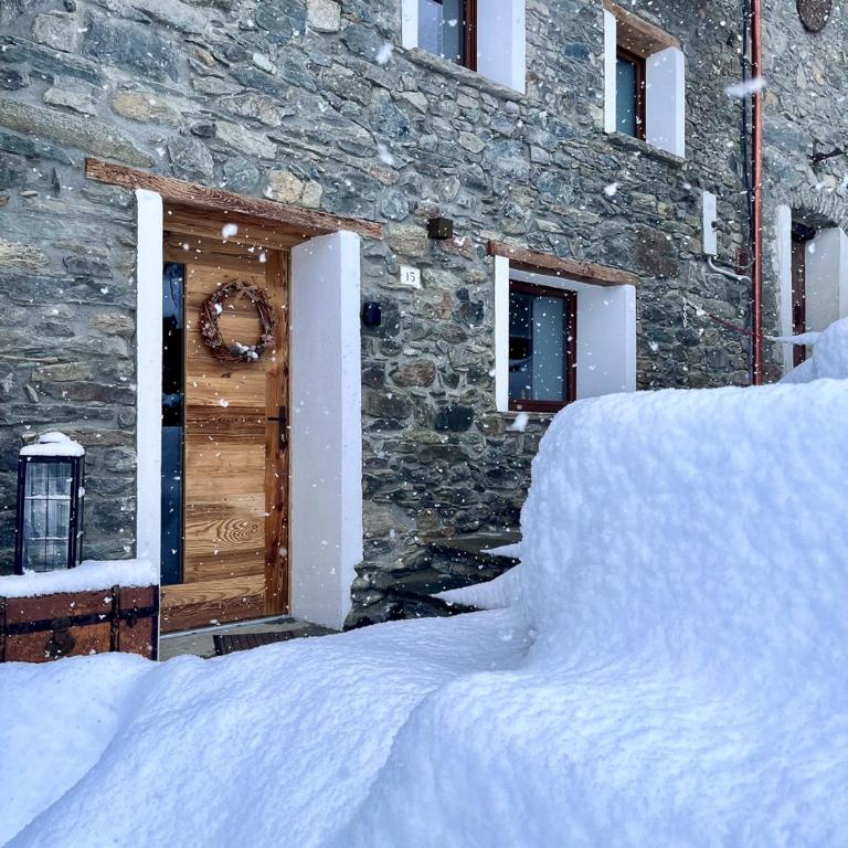 Little Wild House - Casa con 1 dormitorio - 15