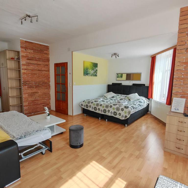 Haus Elena am Semmering - Standard Apartment - 1