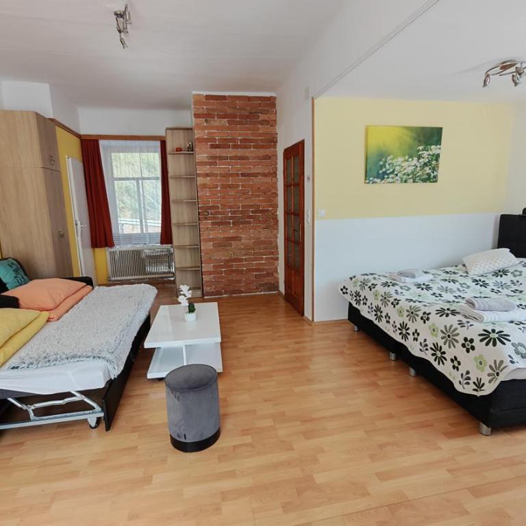 Haus Elena am Semmering - Standard Apartment - 8