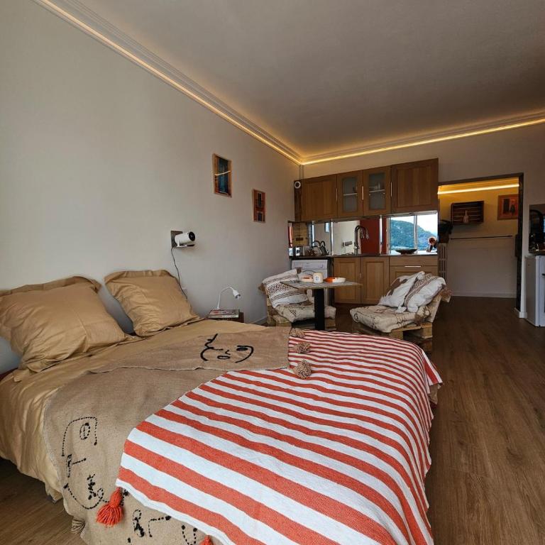Studio cosy - Porte de Genève & Voie Verte - Appartement 1 Chambre - 27