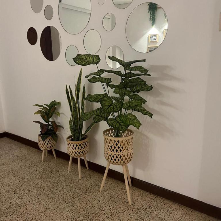 Dulce Hogar - Two-Bedroom Apartment - 2