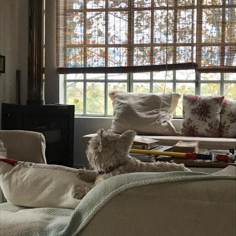 Capilla-Casa de campo - Casa de 2 dormitorios - 20