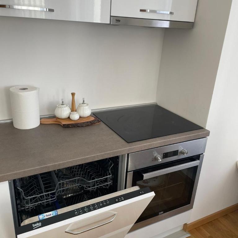 Comfy apartment - Two-Bedroom Apartment - 4
