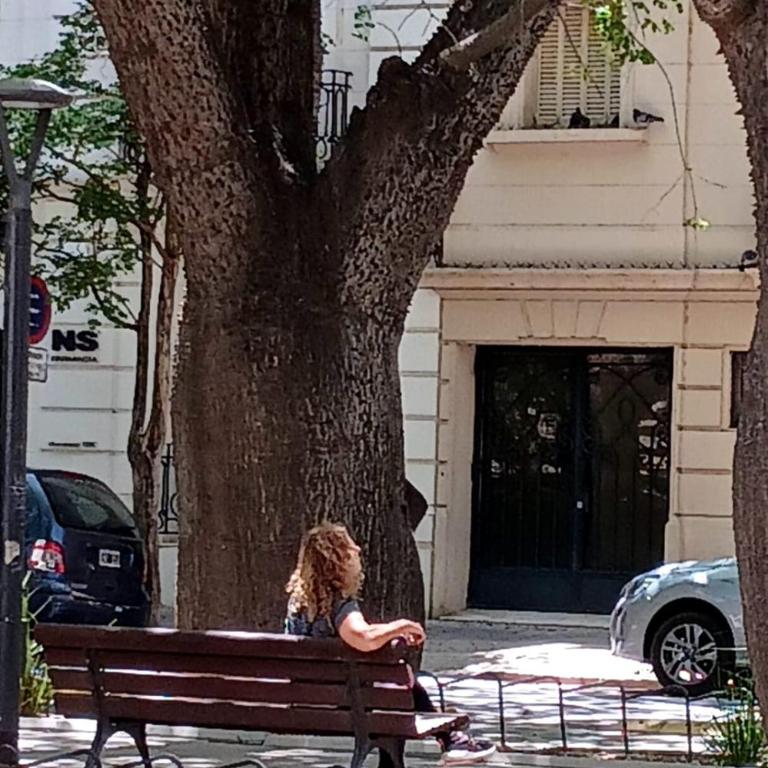 THAYS 70. Hermoso Dpto en Parque de Las Tejas - Apartamento de 1 dormitorio - 30
