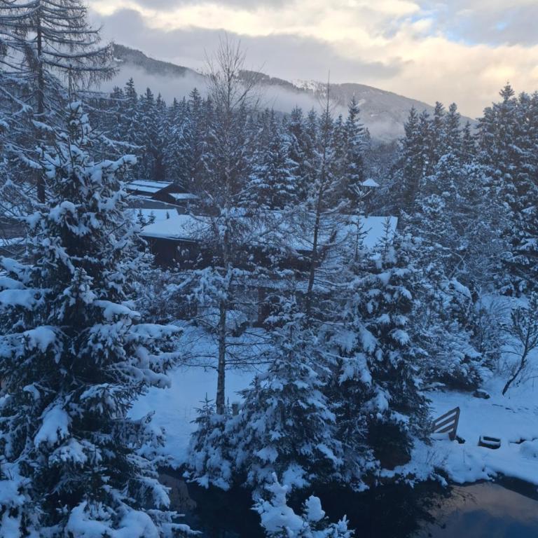 Kitzski, Ski-in-out right next to gondola lift with Garage - Apartment mit 2 Schlafzimmern - 20