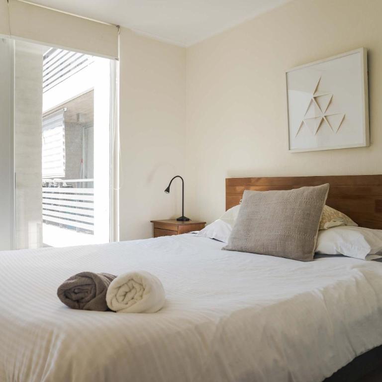 Chic 1BR Oasis in Centro Metro Bliss Your Doorstep - Apartment - 14
