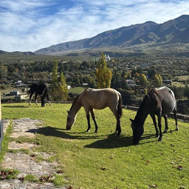 Casa Boutique en Tafí del Valle Tucumán - Casa de 3 dormitorios - 7