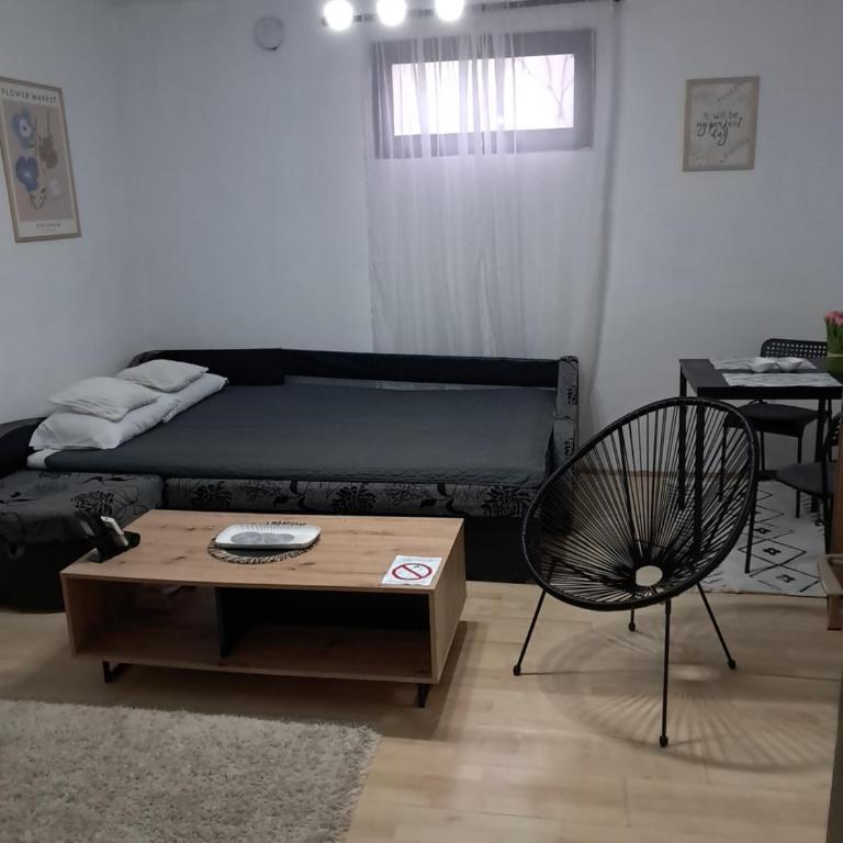 Nanny - One-Bedroom Apartment - 3