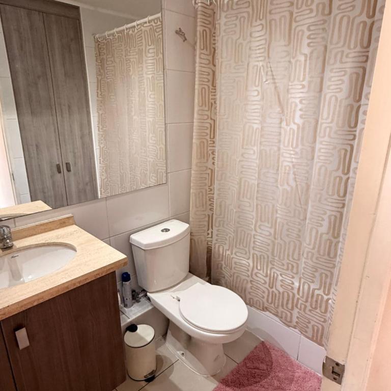 Comodo Depto Santiago Centro - Two-Bedroom Apartment - 7
