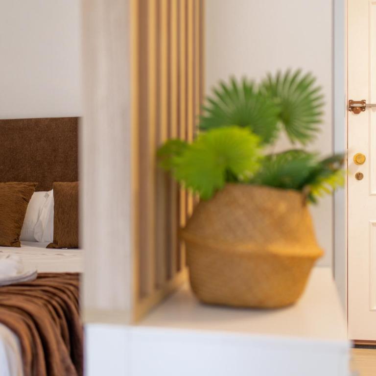 Estudio céntrico en Santa Lucía - One-Bedroom Apartment - 6