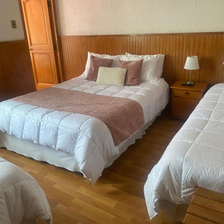 CHALET CHAPITAL Punta Arenas - Quadruple Room with Private Bathroom - 1