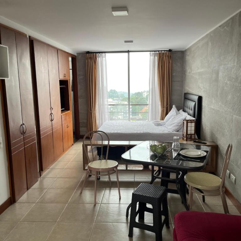 Apartaestudio central Manizales - Apartamento de 1 dormitorio - 11