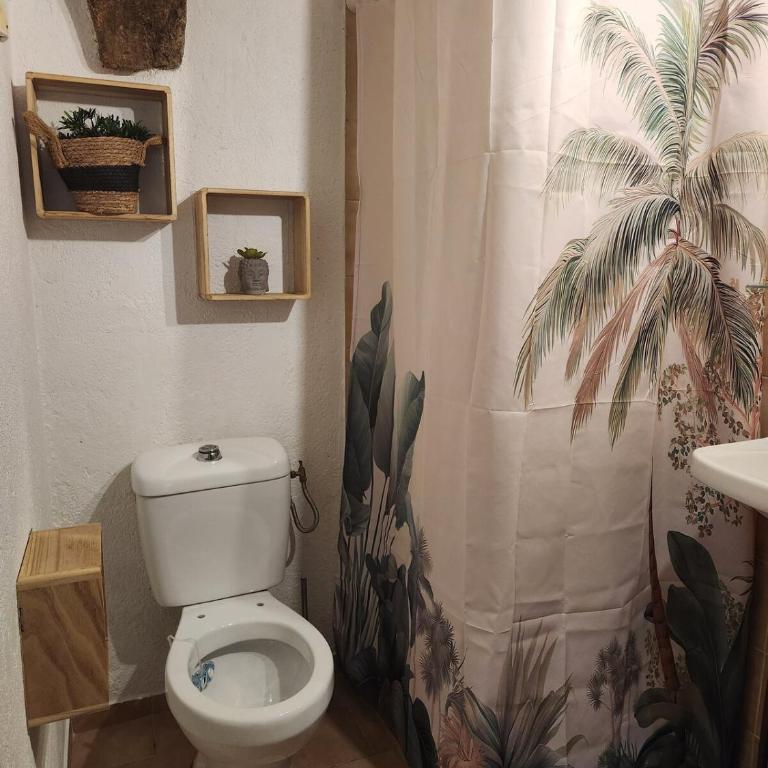 Atypical studio - One-Bedroom Apartment - 4