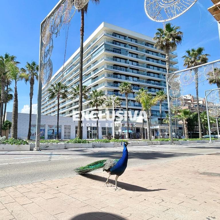 Victoria Home, 1ªLinea, Magic World - Apartamento de 2 dormitorios con terraza y vistas al mar - 31