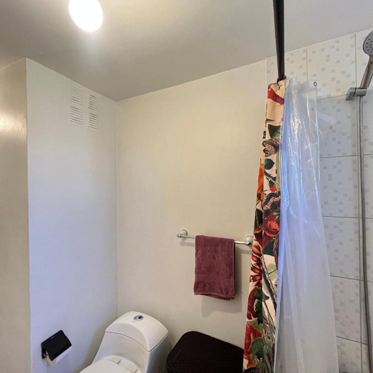 Apartamento Living Orrego Luco - Two-Bedroom Apartment - 44