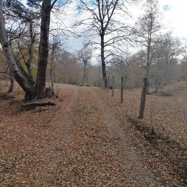 Refugio Santa Raquel - Vacation Home - 17