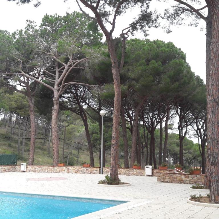 APARTAMENTO PALS BEACH-3 - Apartamento - 21