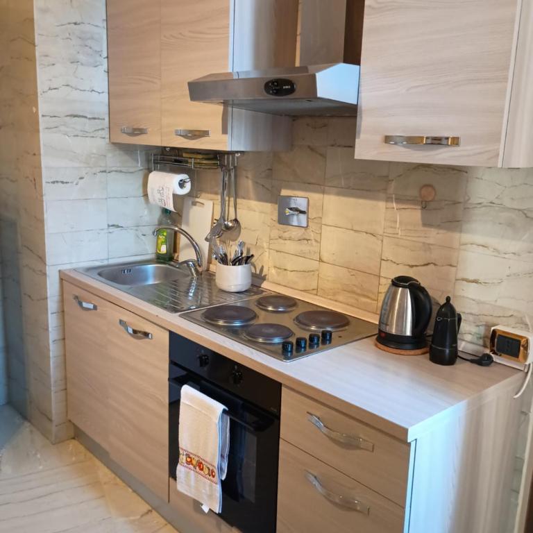 Trevi Fountain Apartment - Appartamento con 1 Camera da Letto - 4