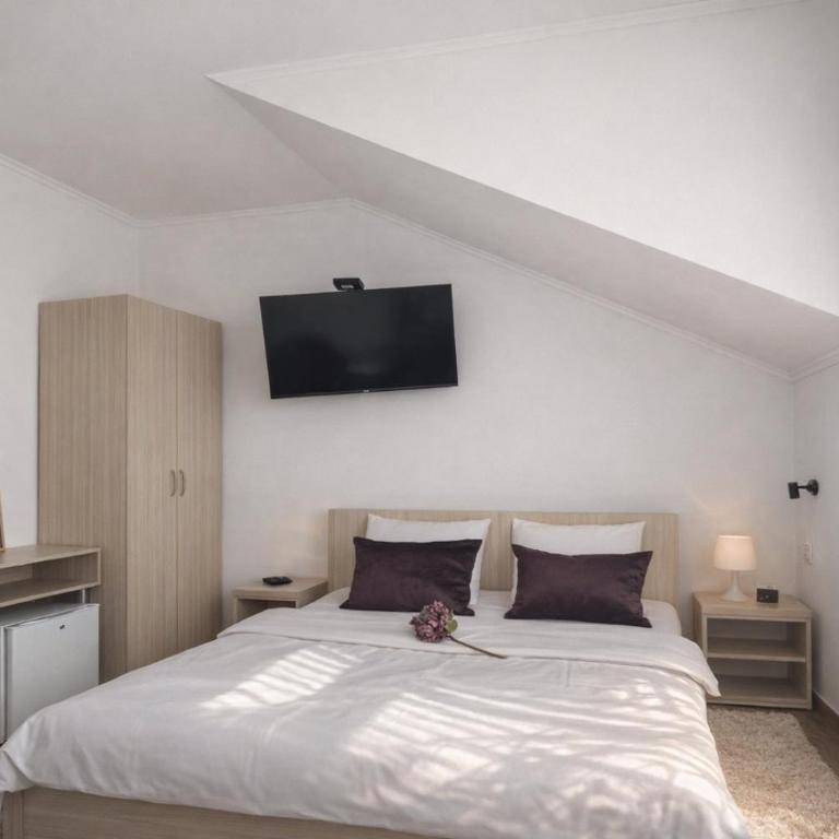 Imaginator Rooms PARKING and POOL is on REQUEST - Standardna Dvokrevetna Soba sa Bračnim Krevetom ili Zasebnim Krevetima, i Pogledom na Vrt - 6