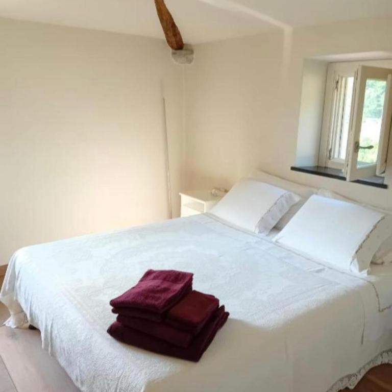la Shamba Relax and Nature in FinalBorgo - Appartamento con 1 Camera da Letto - 6