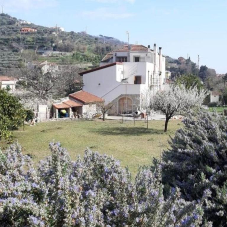 la Shamba Relax and Nature in FinalBorgo - Appartamento con 1 Camera da Letto - 10