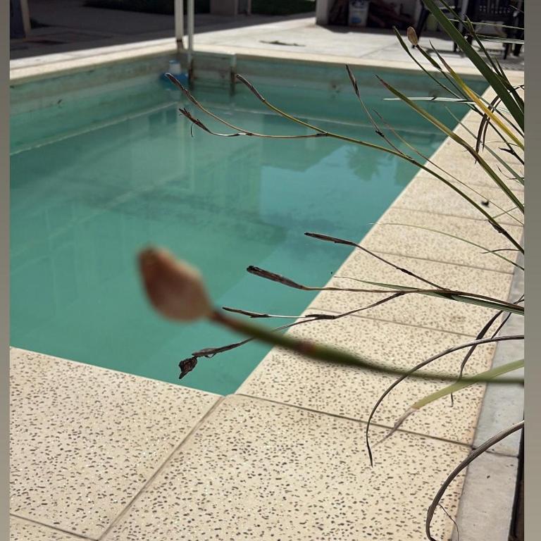 Monoambiente centrico-Paseo Plaza - Apartamento - 10