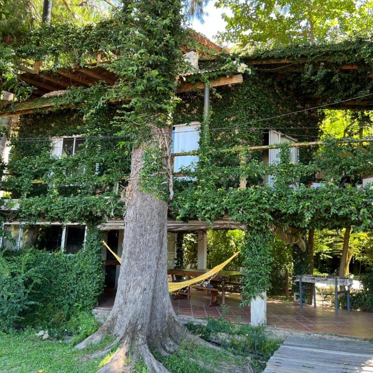 Isla Casinha Delta Tigre - Casa con 1 dormitorio - 1