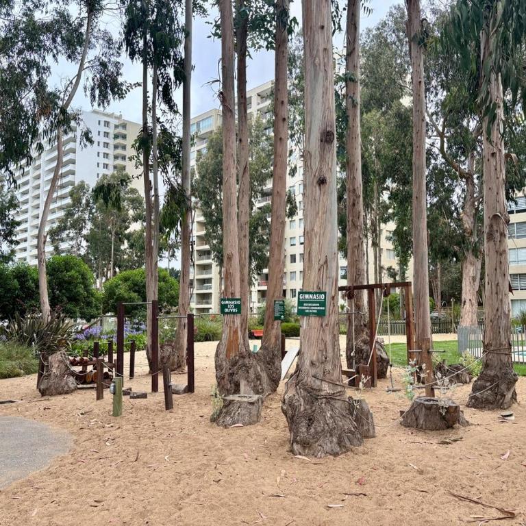 Elegante depto en Mirasol algarrobo - Three-Bedroom Apartment - 9