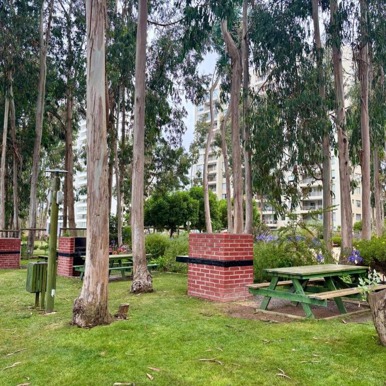 Elegante depto en Mirasol algarrobo - Three-Bedroom Apartment - 10