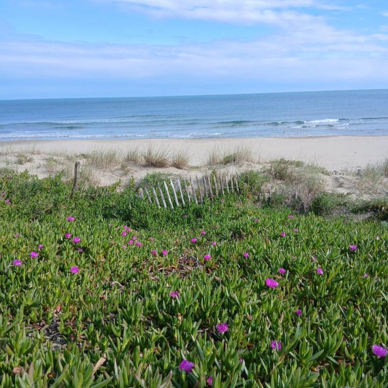 Petit cocon entre port et plage - One-Bedroom Apartment - 9
