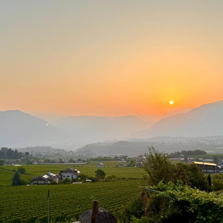 Schloss-Hof - Appartamento Superior con 1 Camera da Letto - 7