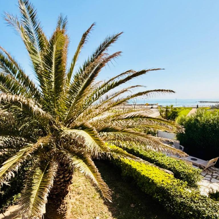 Les Goélands - Bords de mer, 2 Chambres & Parking - Appartement 2 Chambres - 25