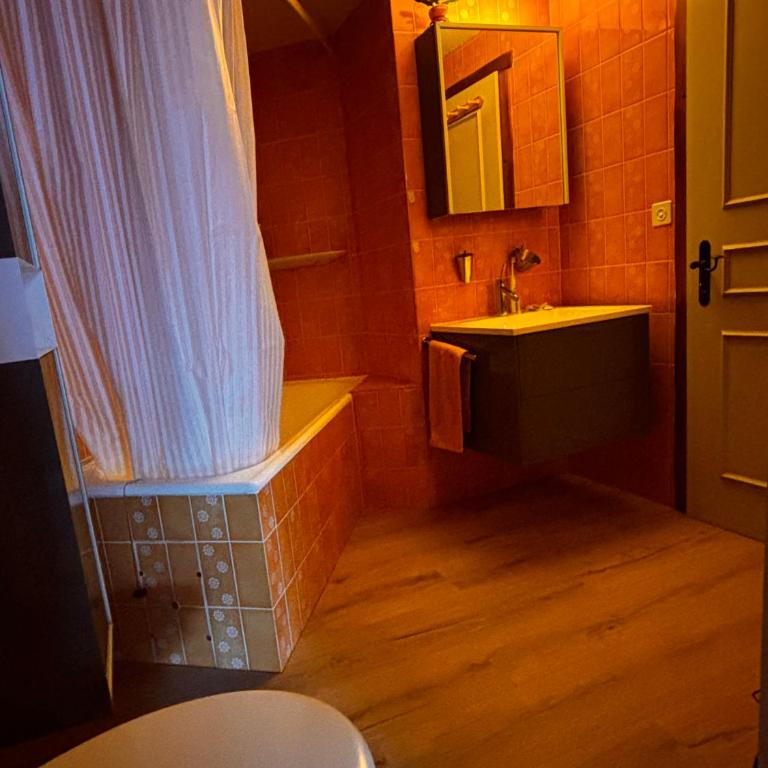 Charmant appartement hyper central, idéal pour couple ou petite famille, parking couvert - Appartement 1 Chambre - 19