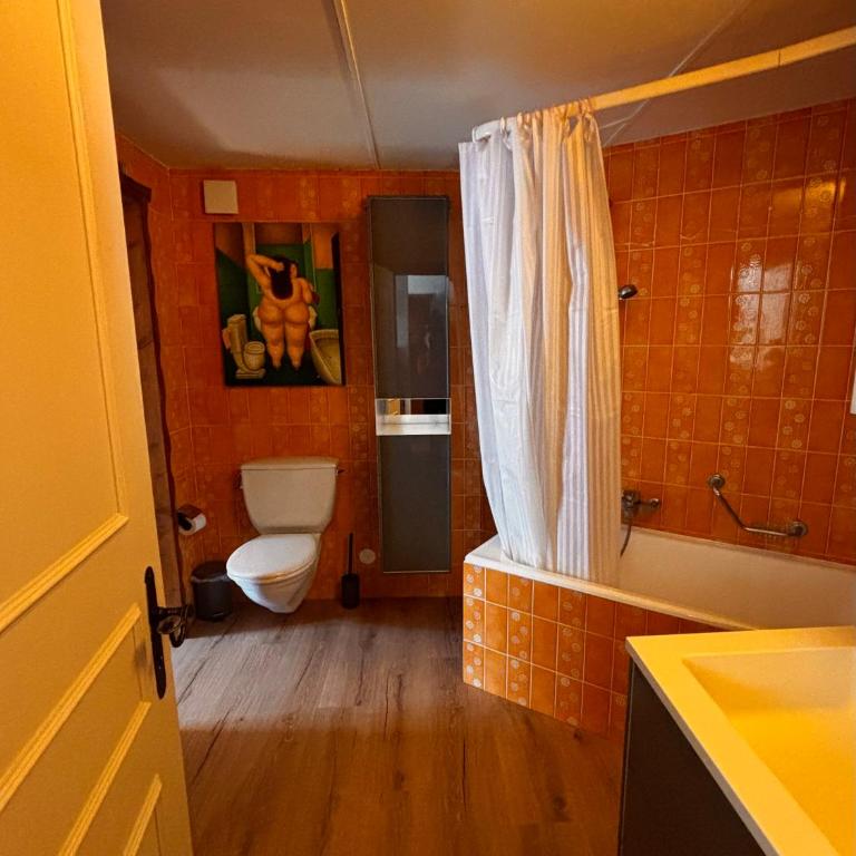 Charmant appartement hyper central, idéal pour couple ou petite famille, parking couvert - Appartement 1 Chambre - 18
