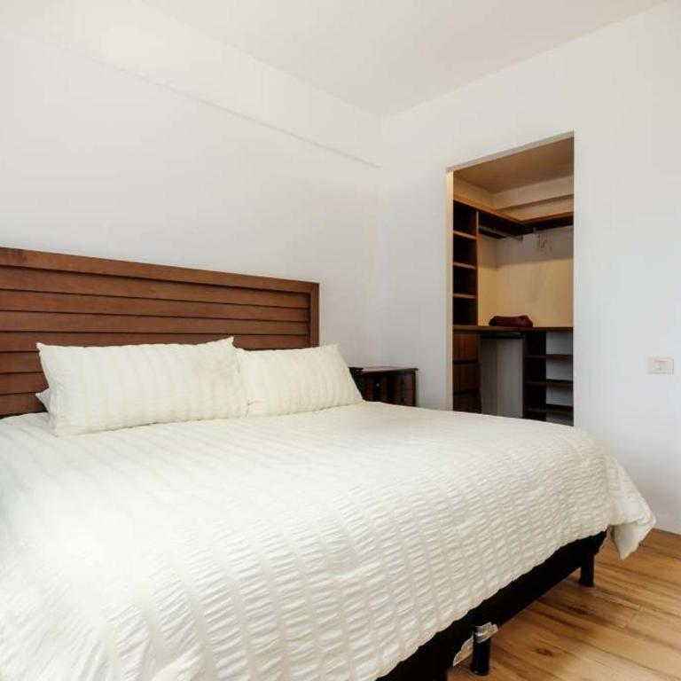Espectacular Nuevo Departamento en Nuevo Polanco - Apartamento - 24