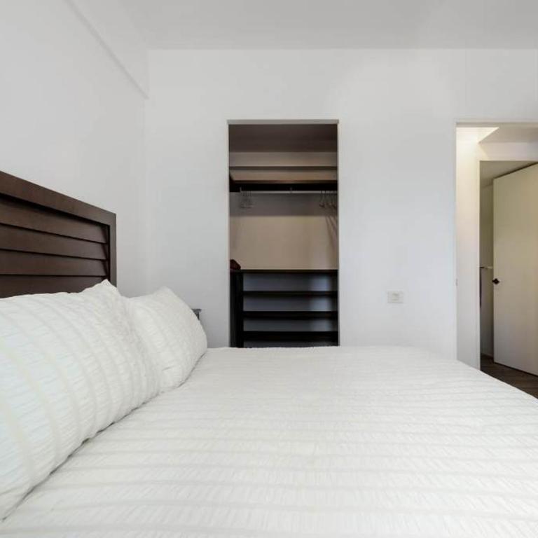 Espectacular Nuevo Departamento en Nuevo Polanco - Apartamento - 26