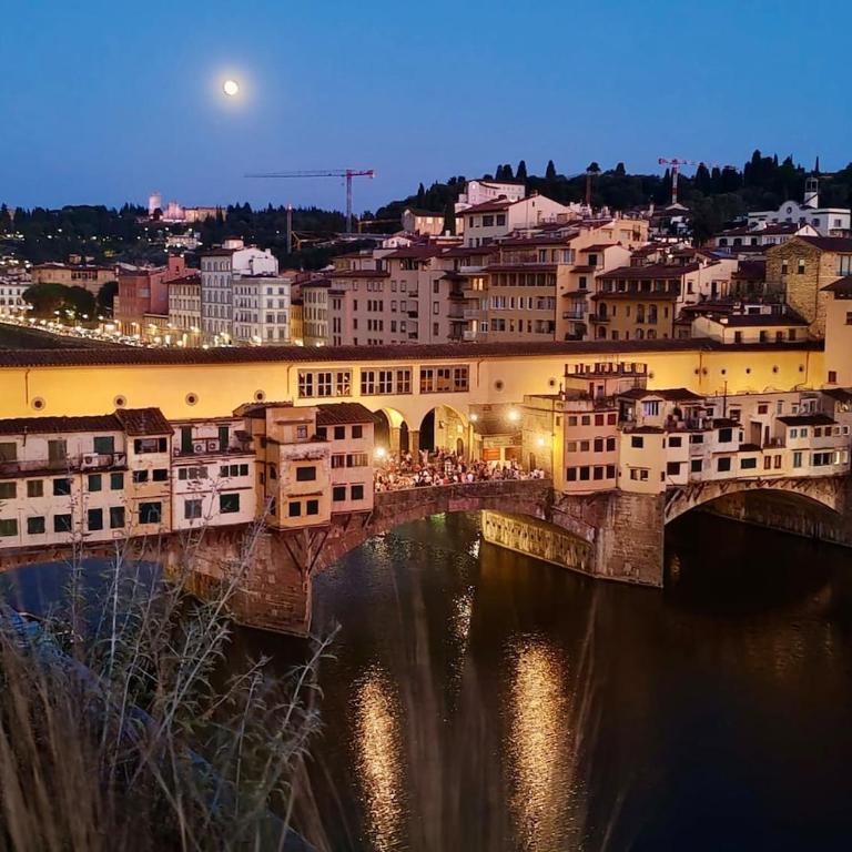 Private Penthouse on the Arno river - Appartamento con 1 Camera da Letto - 30