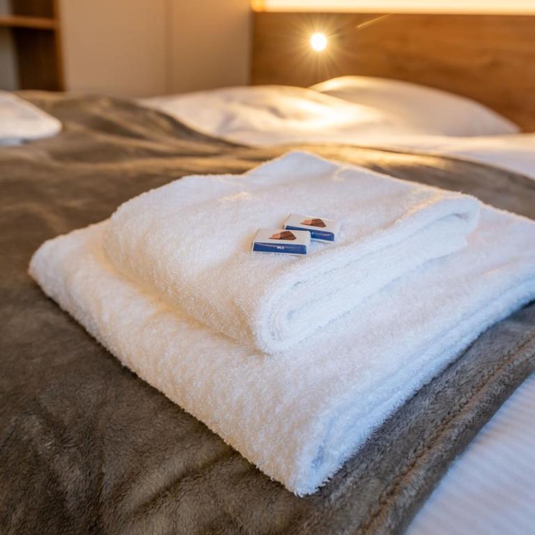 Chalet Horu- new & luxury & ski access Sunnegga - Apartamento - 30