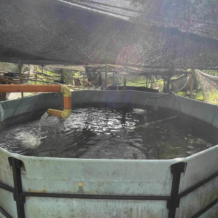 Cabaña campestre cerca a Ecoparque El Salado, Envigado. - Casa con 1 dormitorio - 65