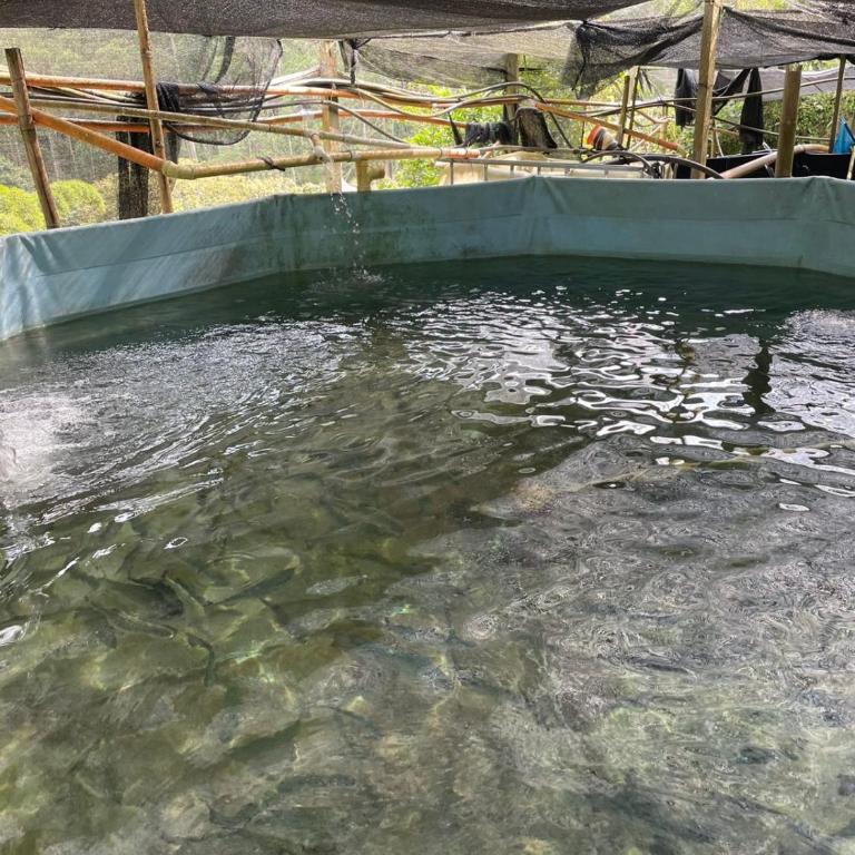 Cabaña campestre cerca a Ecoparque El Salado, Envigado. - Casa con 1 dormitorio - 60