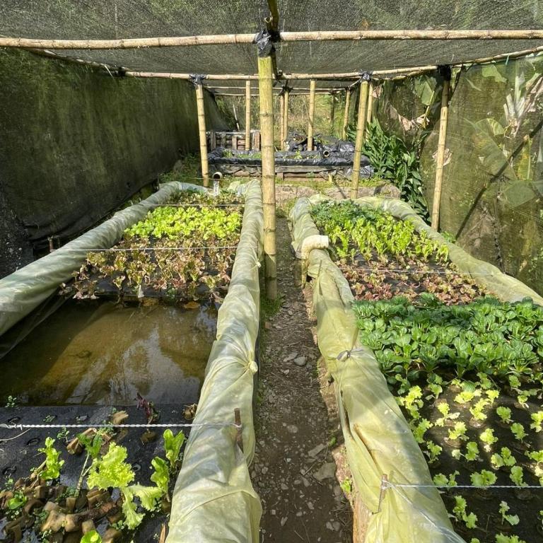 Cabaña campestre cerca a Ecoparque El Salado, Envigado. - Casa con 1 dormitorio - 61
