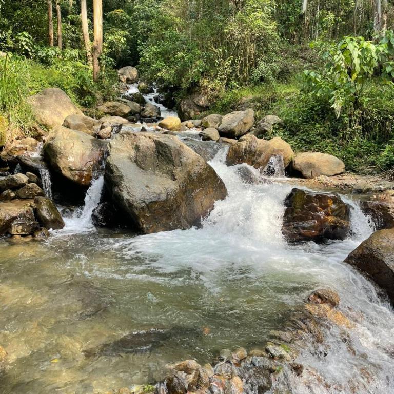 Cabaña campestre cerca a Ecoparque El Salado, Envigado. - Casa con 1 dormitorio - 31