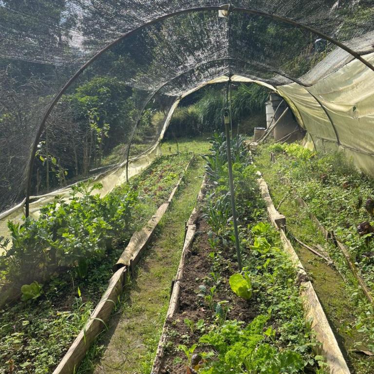 Cabaña campestre cerca a Ecoparque El Salado, Envigado. - Casa con 1 dormitorio - 33