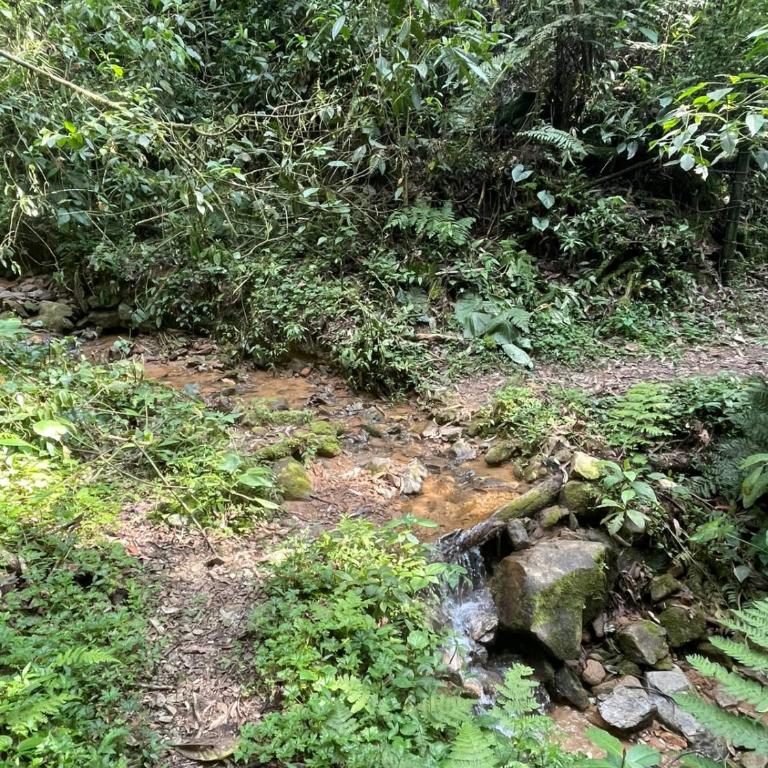 Cabaña campestre cerca a Ecoparque El Salado, Envigado. - Casa con 1 dormitorio - 36
