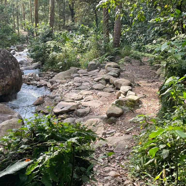 Cabaña campestre cerca a Ecoparque El Salado, Envigado. - Casa con 1 dormitorio - 54